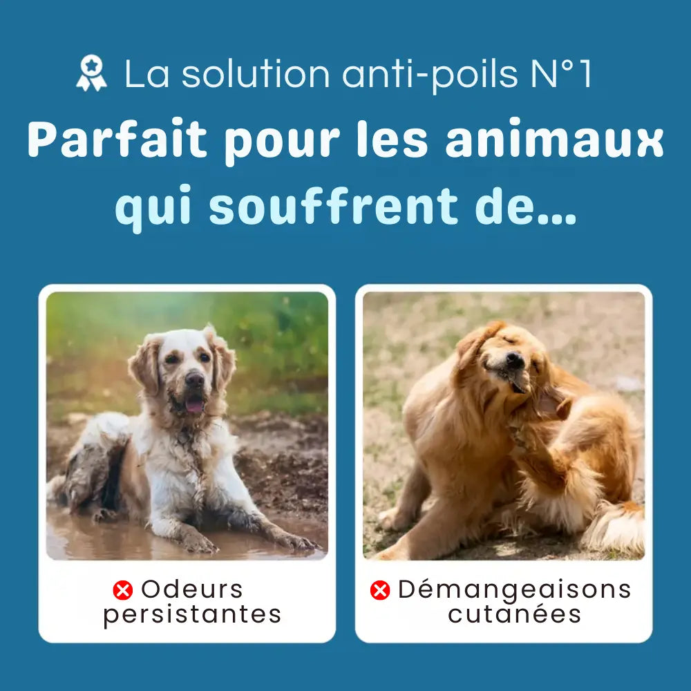 GroomPro™ 2.0 – La brosse pro qui élimine 95% des poils