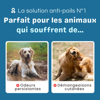 GroomPro™ 2.0 – La brosse pro qui élimine 95% des poils