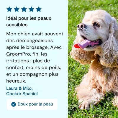 GroomPro™ 2.0 – La brosse pro qui élimine 95% des poils