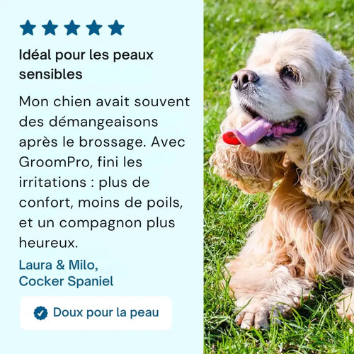 GroomPro™ 2.0 – La brosse pro qui élimine 95% des poils