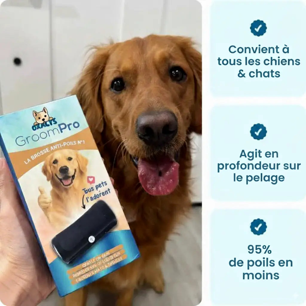 GroomPro™ 2.0 – La brosse pro qui élimine 95% des poils