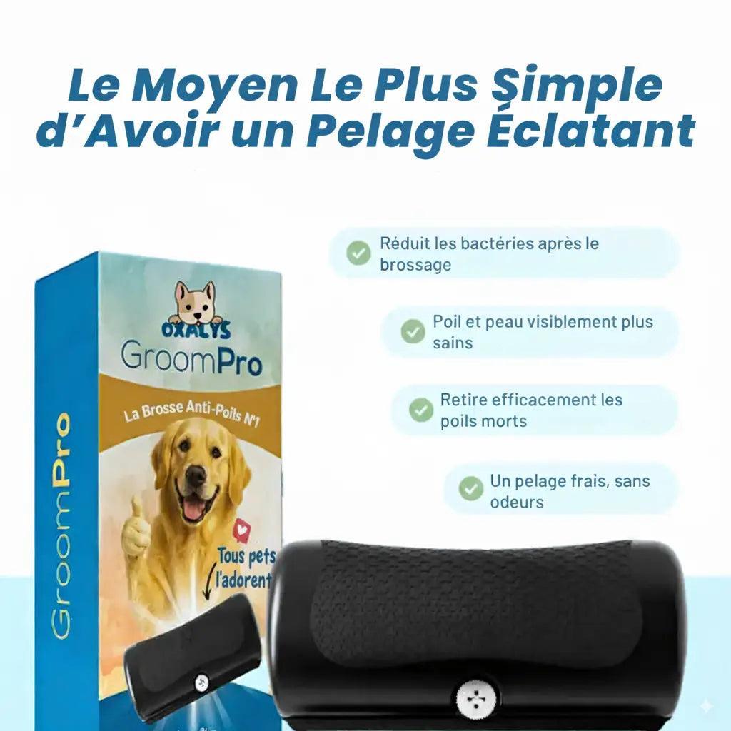 GroomPro™ 2.0 – La brosse pro qui élimine 95% des poils